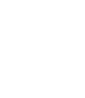 Fairy logo