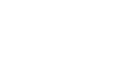 Braun logo